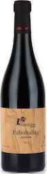 Oinopoieio Kokkinos Paliokalias Rot Trocken 750ml