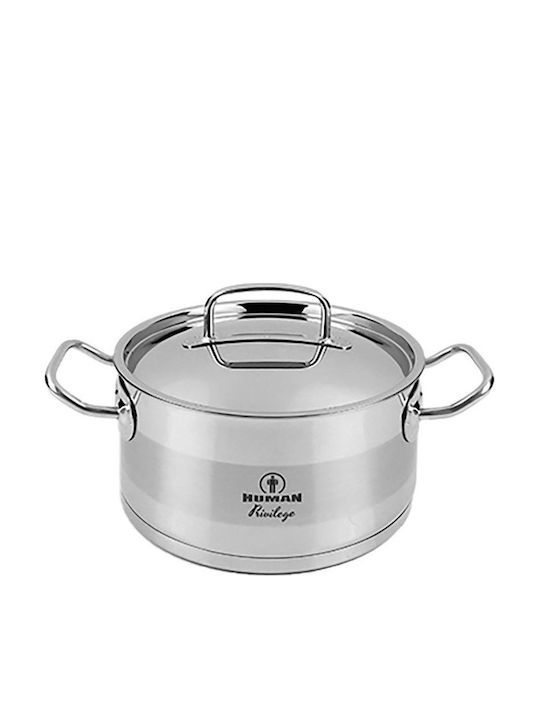 Human Stainless Steel Stockpot 3.1lt / 20cm