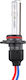 M-Tech Lampen Auto & Motorrad H10 Xenon 6000K Kaltes Weiß 12-24V 35W 1Stück