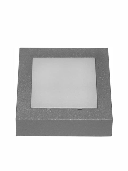 Adeleq Стенен Външен Плафон LED IP54 1W 9.1x9.1εκ.