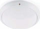 Faro Barcelona Dakron Outdoor Ceiling Flush Mount E27 in White Color 70722
