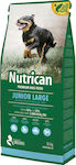 Nutrican Junior Large 15kg Dry Food for Puppies with Corn and Chicken