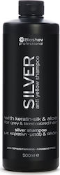 Bioshev Professional Shampoo Silver With Keratin-Silk & Aloe 500ml