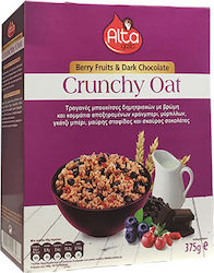 Alta Gusto Νιφάδες Berry Fruits & Dark Chocolate 375gr
