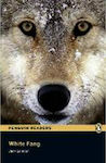 PR 2: WHITE FANG