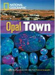 NGR : OPAL TOWN B2 (+ DVD)