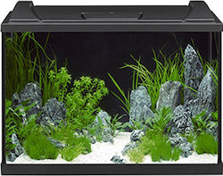 Eheim Aquaproled 84 Aquarium mit einer Kapazität von 84Es mit Beleuchtung, Heizung, Filter und 60x35x40cm. Schwarz