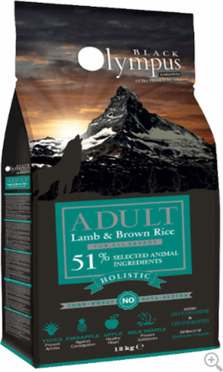 Black Olympus Adult Holistic 2kg Dry Food Gluten-Free, with Few Grains for Adult Dogs with Lamb and Brown rice