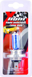Autoline Lampen Auto & Motorrad XLight Xenon Ic...
