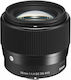 Sigma Crop Camera Lens 56mm f/1.4 DC DN Contemporary Telephoto for Sony E Mount Black