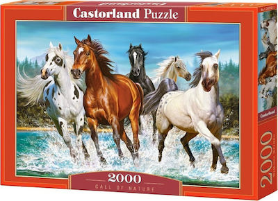 Call of Nature Puzzle 2D 2000 Pieces