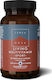 TerraNova Living Multivitamin Sport Πολυβιταμίνη για Ενέργεια, τα Μαλλιά & τo Δέρμα 735mg 50 φυτικές κάψουλες