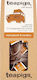 Teapigs Rot Tee Honeybush & Rooibos 15 Beutel 1Stück