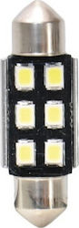 Automax Lamps Car & Motorcycle Vecta C5W Canbus LED White 12V 2pcs