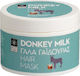 Bodyfarm Donkey Masca de păr pentru Reparare 200ml