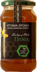Κτήμα Χρόνη Βιολογικό Μέλι Πεύκου 630gr