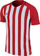 Nike Striped Division III Kids Football Jersey