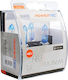 M-Tech Lamps Car & Motorcycle Powertec Platinum +130% HB3 Halogen 4000K Natural White 12V 65W 2pcs