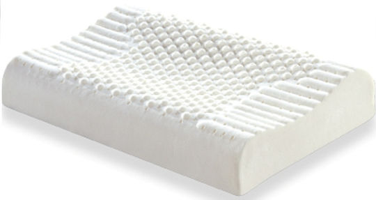 Cosmostrom Perna Pat Latex Anatomic 40x60cm