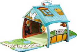 Cangaroo Home Γυμναστήριο για 6+ Μηνών