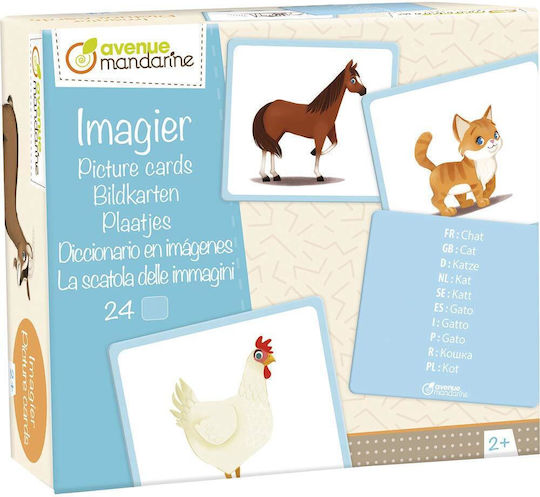 Επιτραπέζιο Παιχνίδι Imagine Pets για 2+ Παίκτες 2+ Ετών (FR) Avenue Mandarine