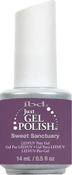 IBD Gel-Nagellack Lila