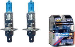 Xtec HID SuperWhite Lămpi H1 Halogen Alb natural 2buc