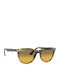 Ray Ban Wayfarer II Sunglasses with Brown Tartaruga Plastic Frame and Brown Gradient Lens RB2185 1248/AC