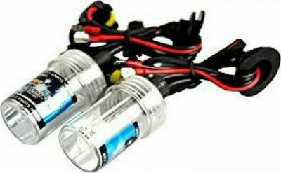 Rolinger Lamps Car H7 Xenon 6000K Cold White 12V 35W 2pcs