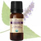 Alteya Organics Essential Βιολογικό Αιθέριο Έλαιο Πατσουλί 10ml