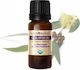 Alteya Organics Essential Βιολογικό Αιθέριο Έλαιο Ευκάλυπτος 10ml