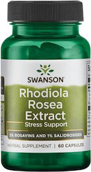 Swanson Rhodiola Rosea Extract 60 Κάψουλες