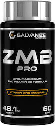 Galvanize Nutrition ZMB Pro Supliment pentru Întărirea Sistemului Imunitar 60 capace