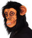 Carnival Mask Full Face Chimpanzee