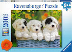 Παιδικό Puzzle Cuddly Puppies 200pcs για 8+ Ετών Ravensburger