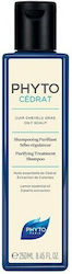 Phyto Phytocedrat Purifying Treatment Shampoos 250ml