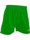 Dusseldorf Adult/Child Football Fan Shorts