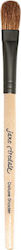 Jane Iredale Make Up Brush for Eye Shadow Deluxe Shader