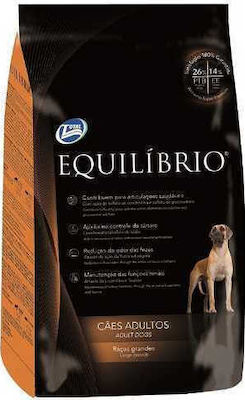 Equilibrio Adult Large 2kg Dry Food for Adult Dogs of Large Breeds with Chicken and Rice