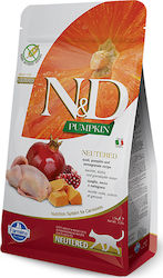 Farmina N&D Pumpkin Neutered Dry Food for Adult Neutered Cats with Pomegranate / Pumpkin / Chicken 0.3kg