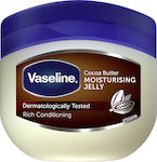 Vaseline Cocoa Moisturising Jelly Feuchtigkeitsspendendes Butter Körper 100ml