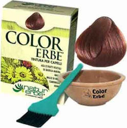 Natur Erbe Color Erbe Natur Erbe Color Erbe