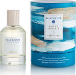 Blue Scents Salt & Sun Eau de Toilette 100ml