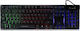 Andowl Q-801 Gaming Keyboard with RGB Lighting (English US)