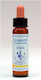 Healing Herbs Clematis Ανθοΐαμα σε Σταγόνες 10ml