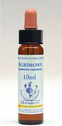 Healing Herbs Agrimony Flower Essence in Drops for Relaxation 10ml