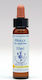 Healing Herbs Holly Esență Florală în Picături 10ml