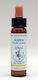 Healing Herbs Aspen Ανθοΐαμα σε Σταγόνες για Χαλάρωση 10ml