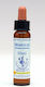 Healing Herbs Mimulus Ανθοΐαμα σε Σταγόνες για Χαλάρωση 10ml