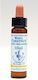Healing Herbs White Chestnut Ανθοΐαμα σε Σταγόνες για Χαλάρωση 10ml